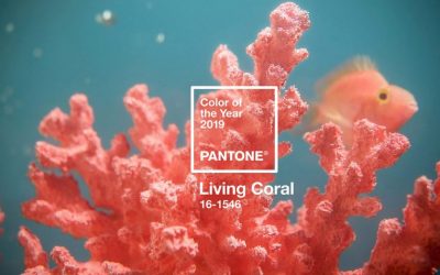 Pantone’s 2019 Colour of the Year – We love it what do you think?