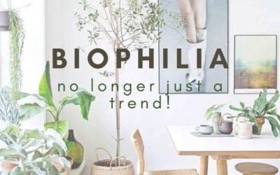 Biophilia; no longer just a trend!